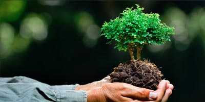 FOMENTAR-LA-CONCIENCIA-SOBRE-EL-RESPETO-AL-MEDIO-AMBIENTE